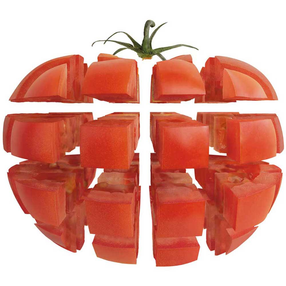 szatkownica do warzyw, CL40, P 0.5 kW, U 230 V 1